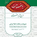 متجر بغداد
